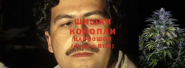 индика Лиски