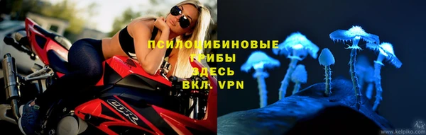 индика Лиски