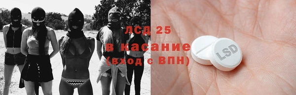 индика Лиски