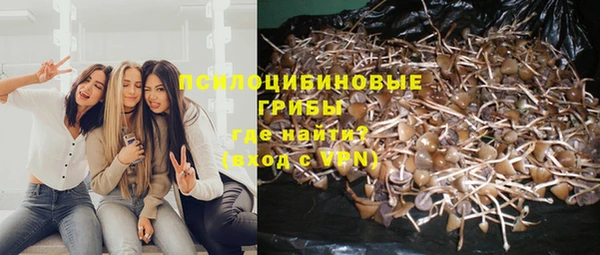 индика Лиски