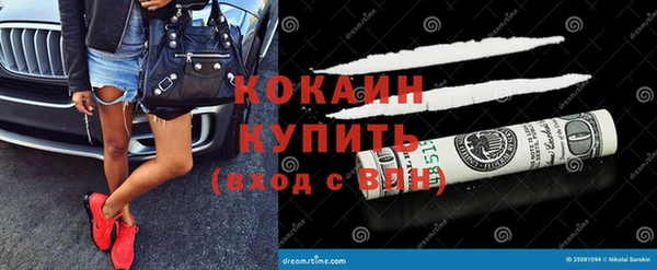 индика Лиски