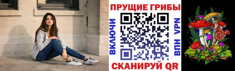 Галлюциногенные грибы Magic Shrooms  дарнет шоп  Назрань 