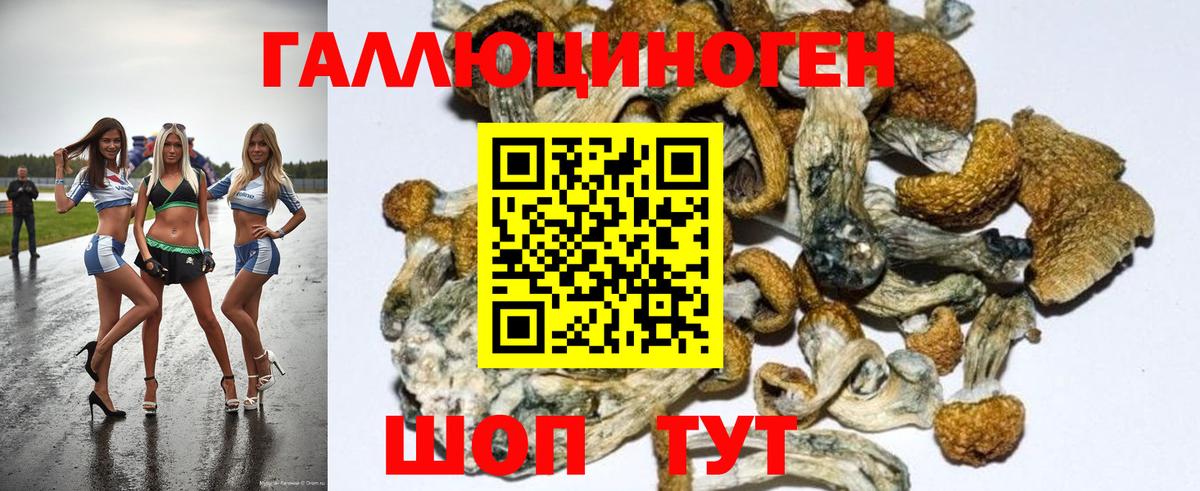 Галлюциногенные грибы MAGIC MUSHROOMS Назрань